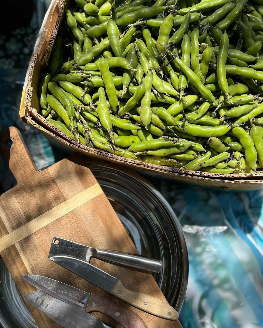 Frozen Green Fava Beans