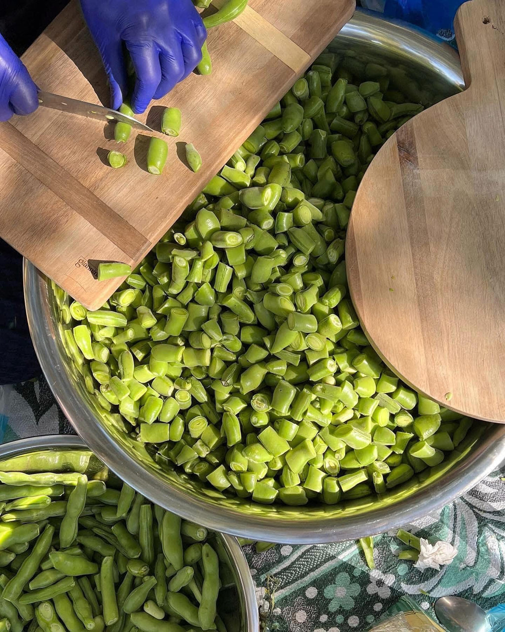 Frozen Green Fava Beans