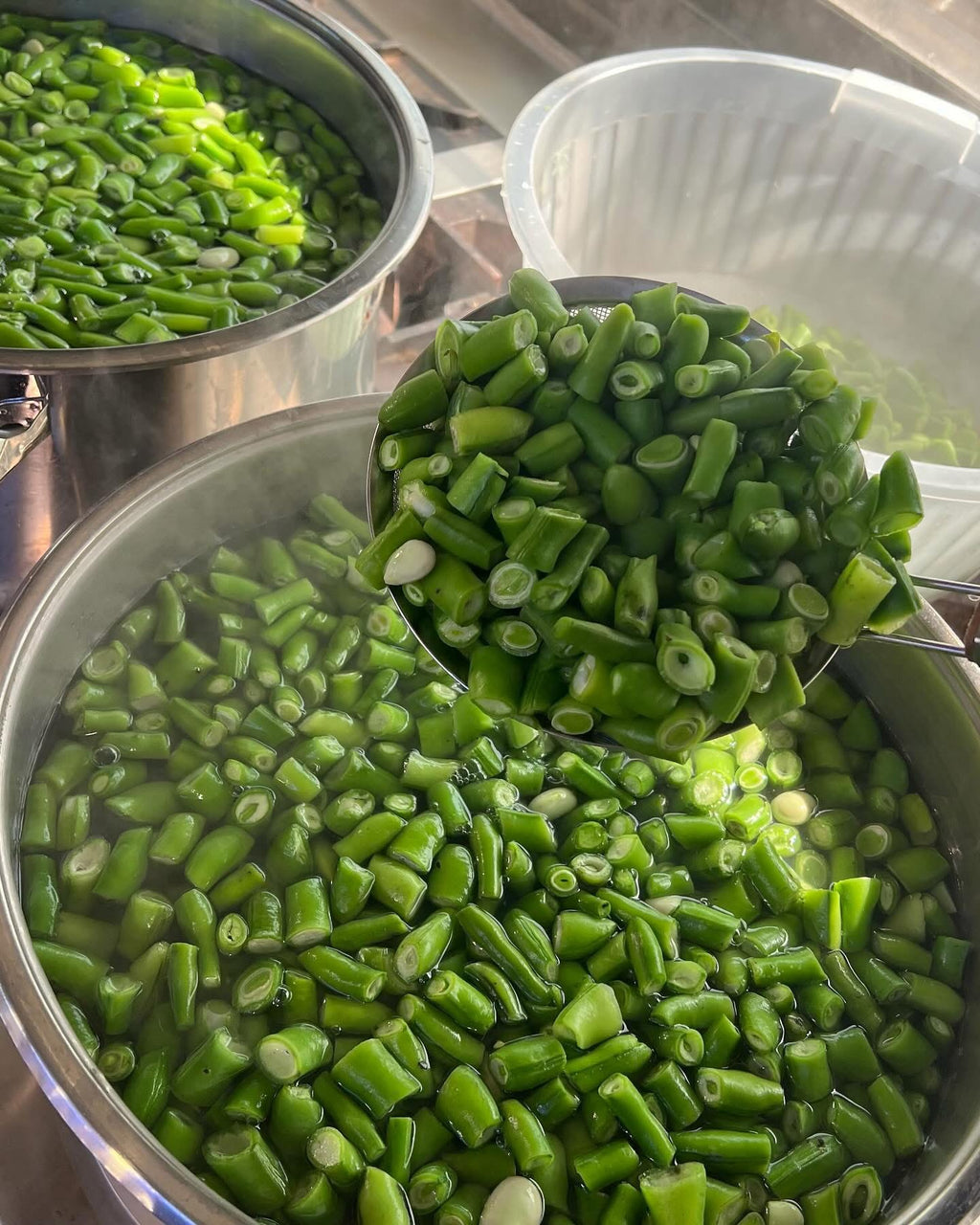 Frozen Green Fava Beans