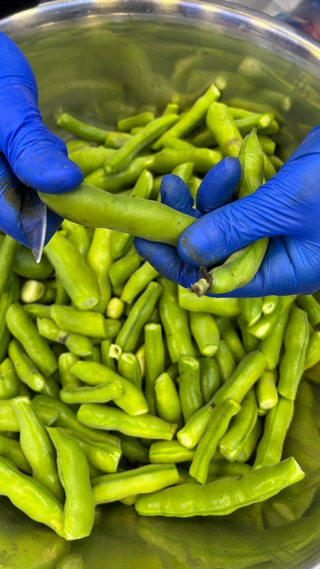 Frozen Green Fava Beans